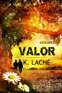 Valor Cover