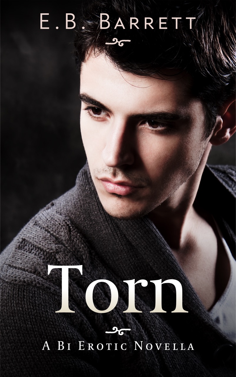 Available For Review: Torn By E.B. Barrett – IndiGo Marketing & Design